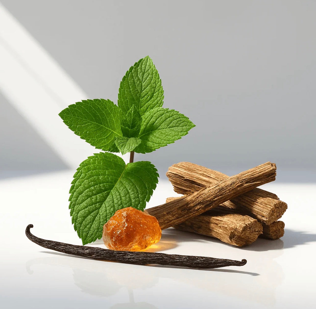 BOIS - COLLECTION PRIVÉE 50 ML