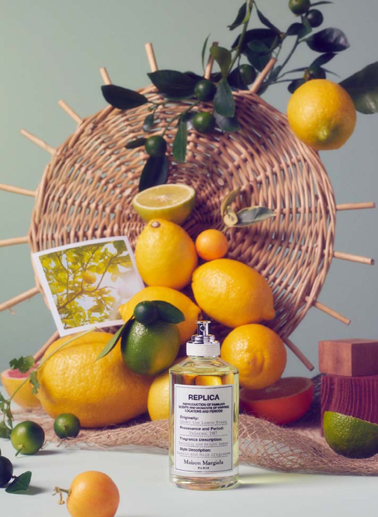 MAISON MARGIELA – REPLICA – UNDER THE LEMON TREES 100 ML