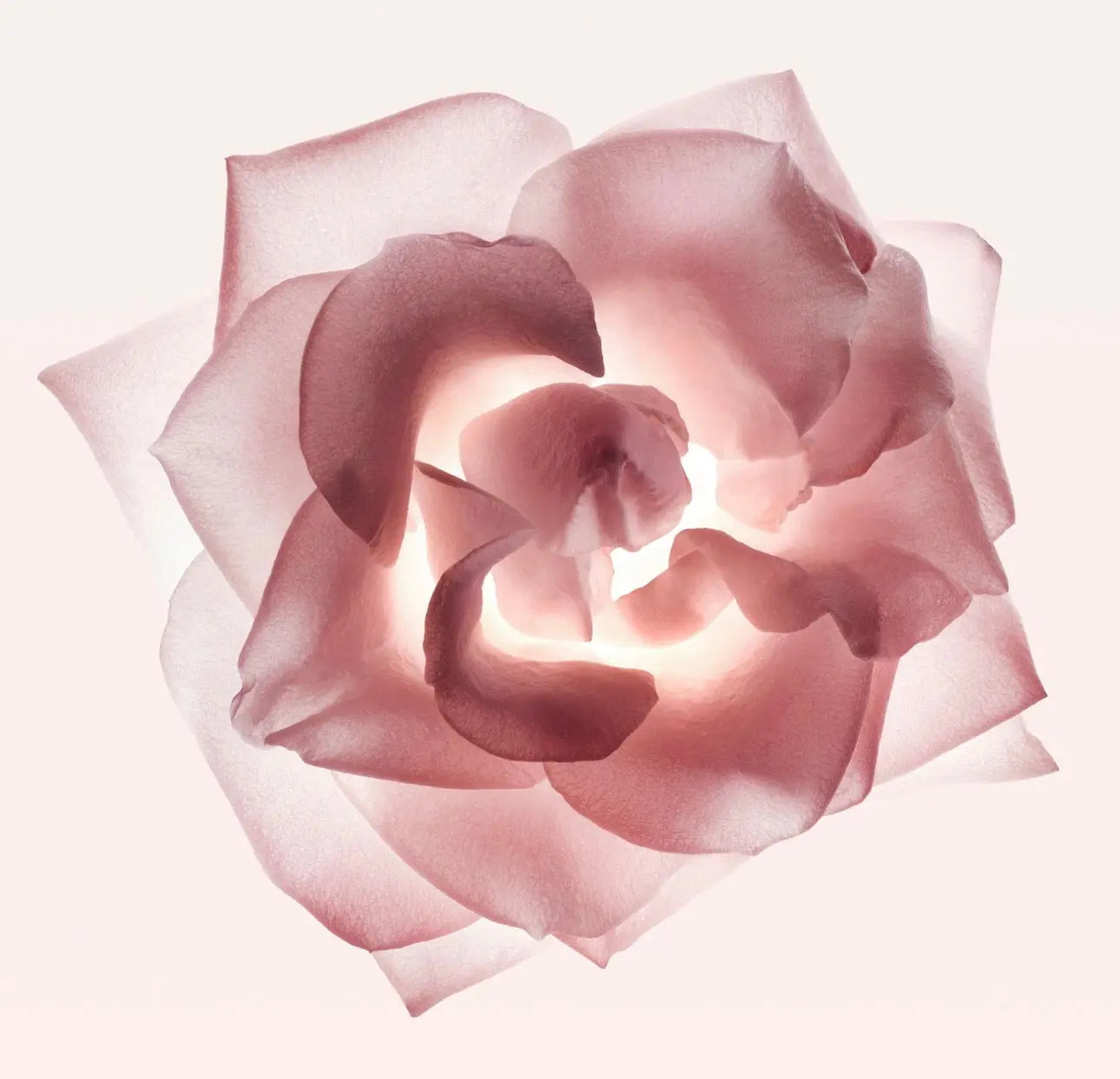 PARFUM NARCISO RODRIGUEZ 90 ML - REPLICAFRAG Replica