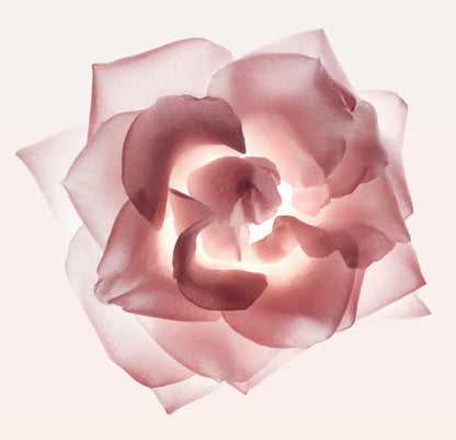 PARFUM NARCISO RODRIGUEZ 90 ML - REPLICAFRAG Replica